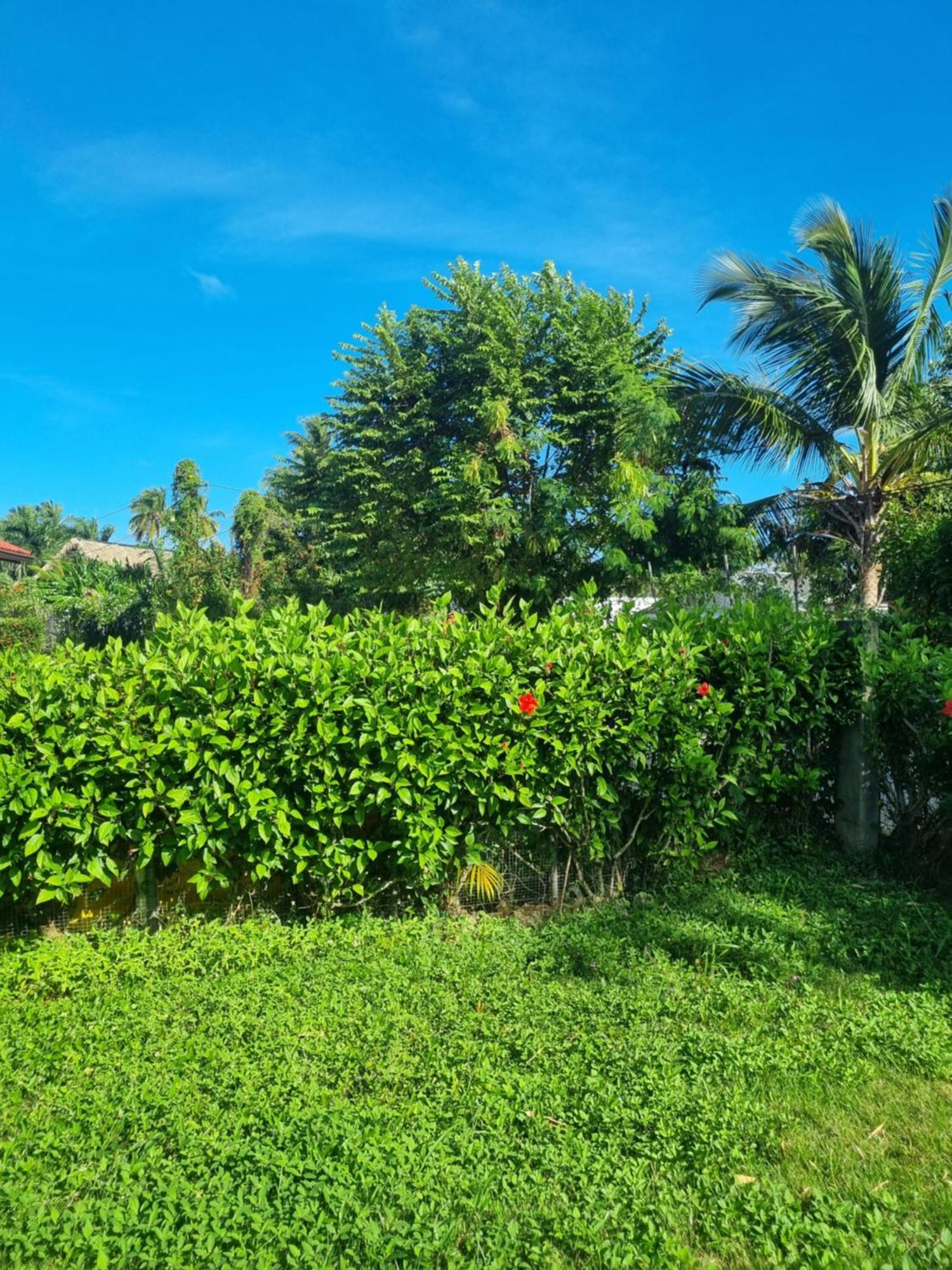 Il Triangolo Hostel Las Galeras Kültér fotó